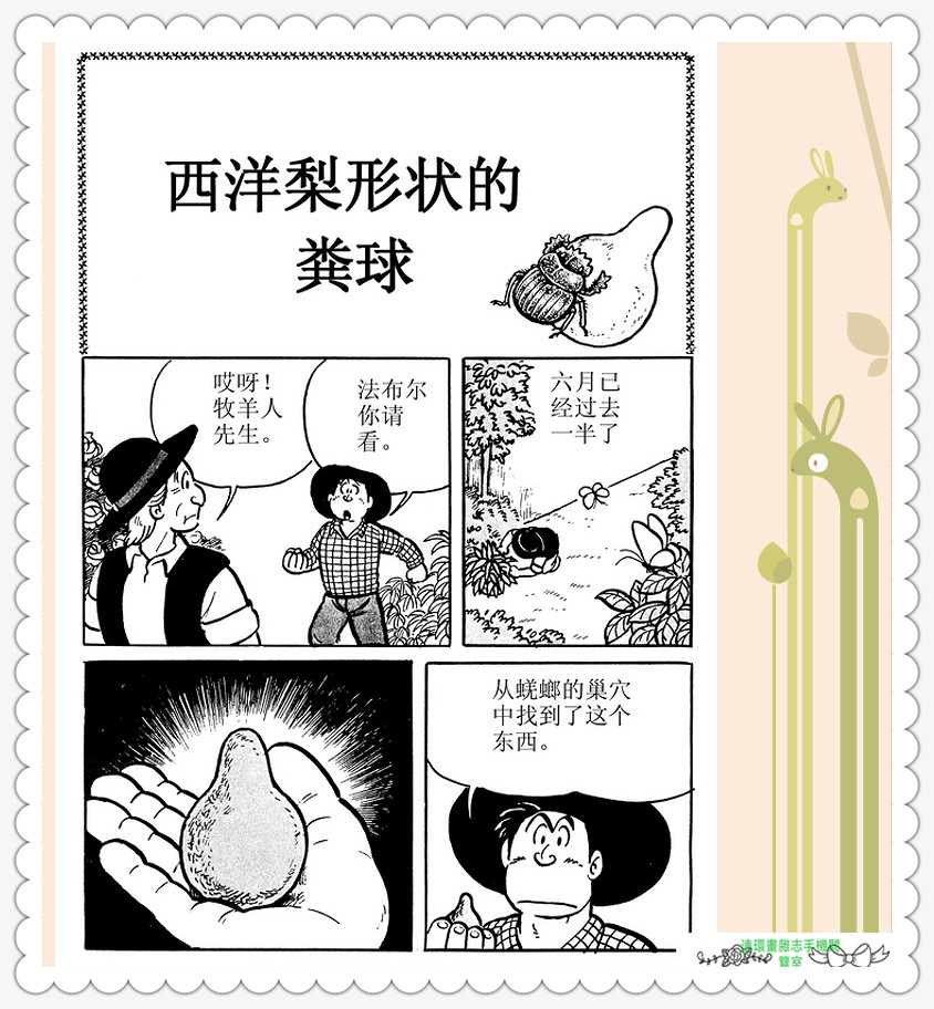 昆虫记法布尔动画片,昆虫记法布尔全套