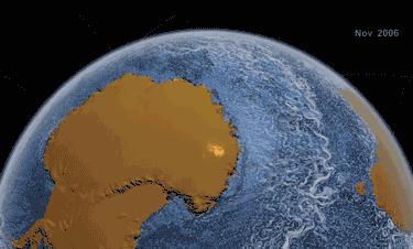 南极的神奇动物企鹅,南极生物图鉴