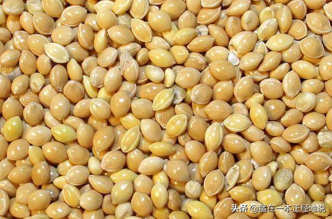 四体勤劳的你，能分得清“五谷”吗