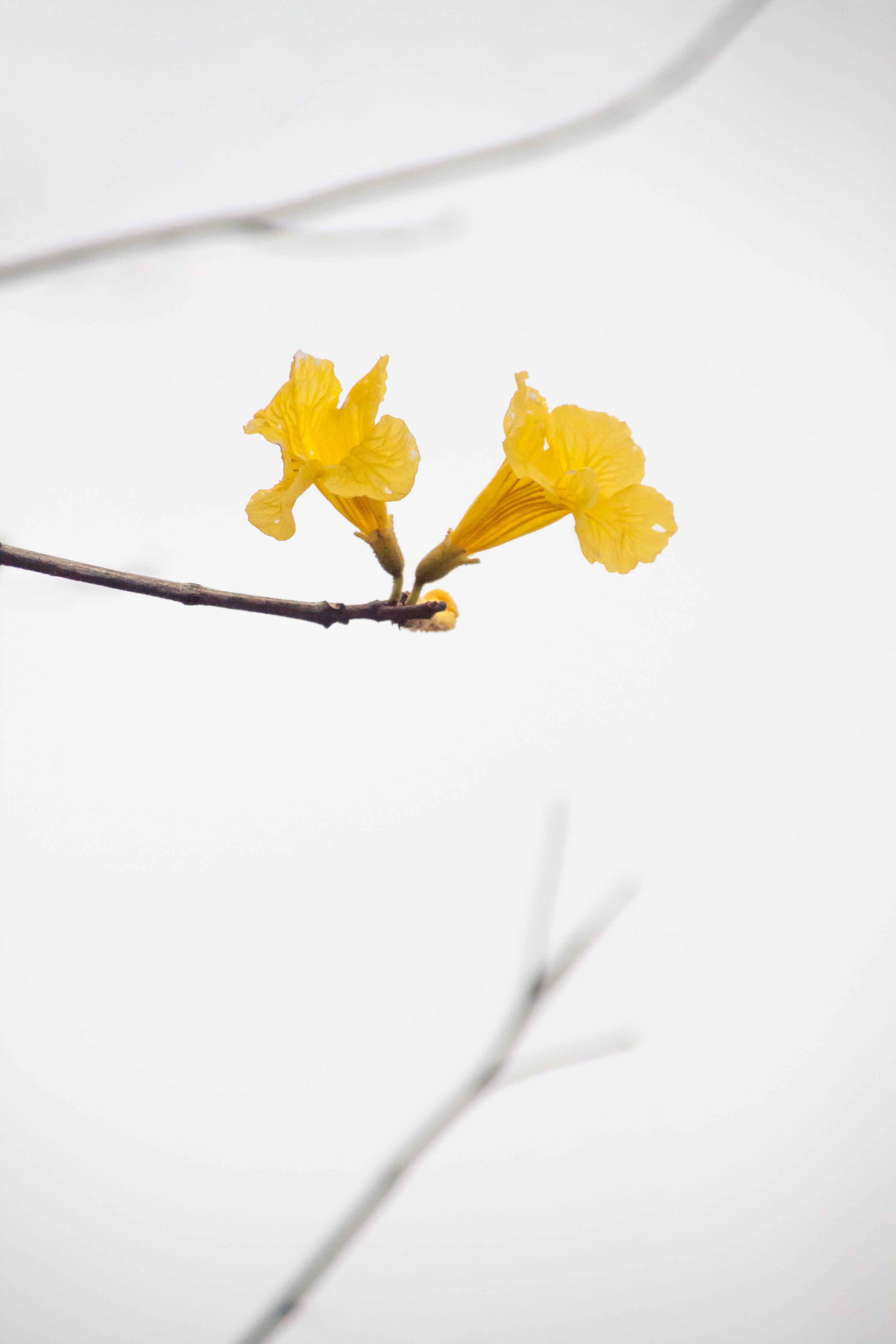 景深入门基本知识,关于摄影你需要知道的