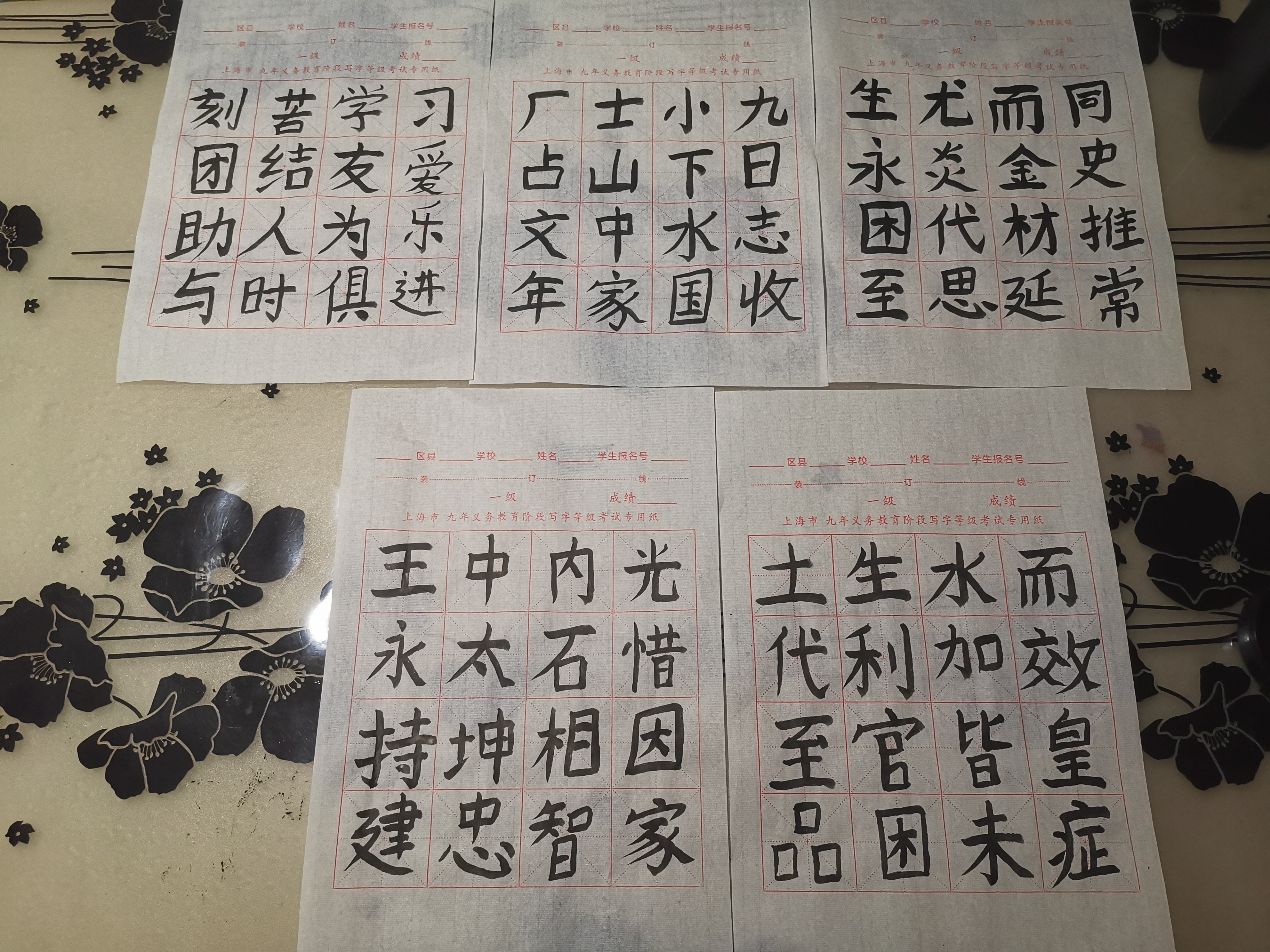 全家劝生三胎但孕妇不想要,两个女儿别人劝生三胎说说