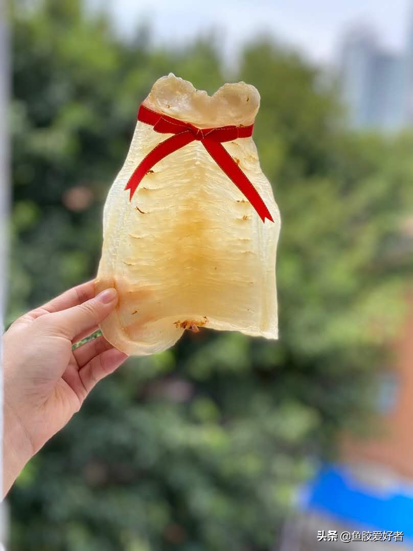 鱼胶选买什么样的好,如何挑选鱼胶让人觉得你是内行