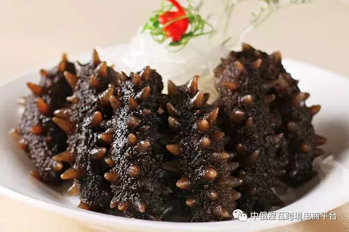 俄罗斯北极参和海参有什么区别,如何分辨俄罗斯海参或大连参