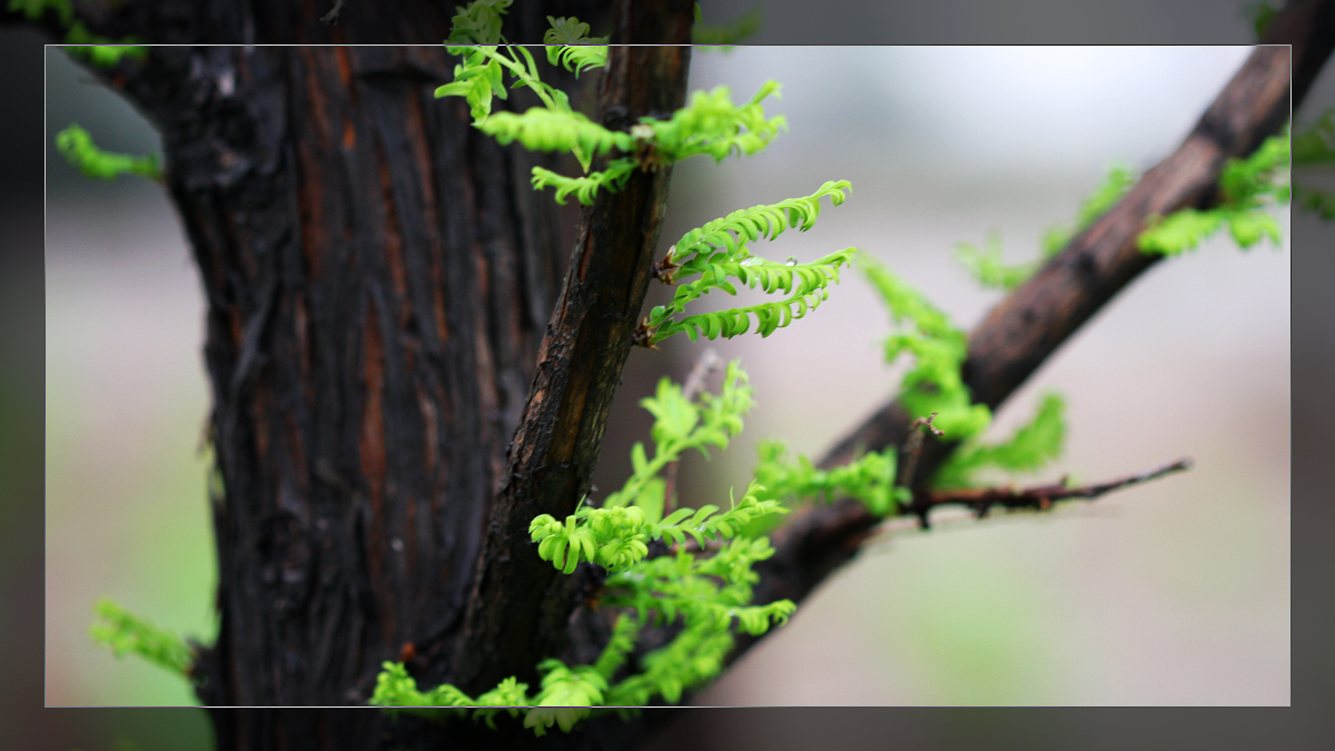 如何生成不重复的随机数小数,如何创建不重复的随机数