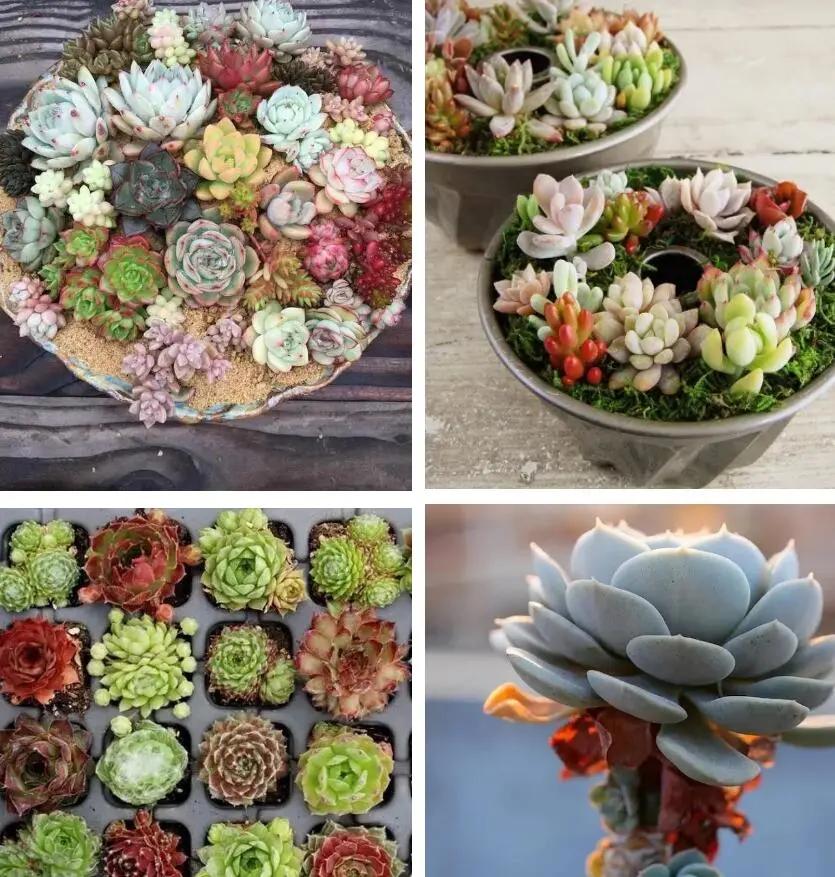 50个名额，拼手速“秒杀”！一群提前上岸的保送生连说“挖到宝了！”