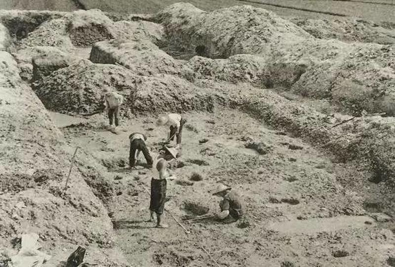 佛山除了黄飞鸿还有谁,佛山除了粤剧还有什么剧