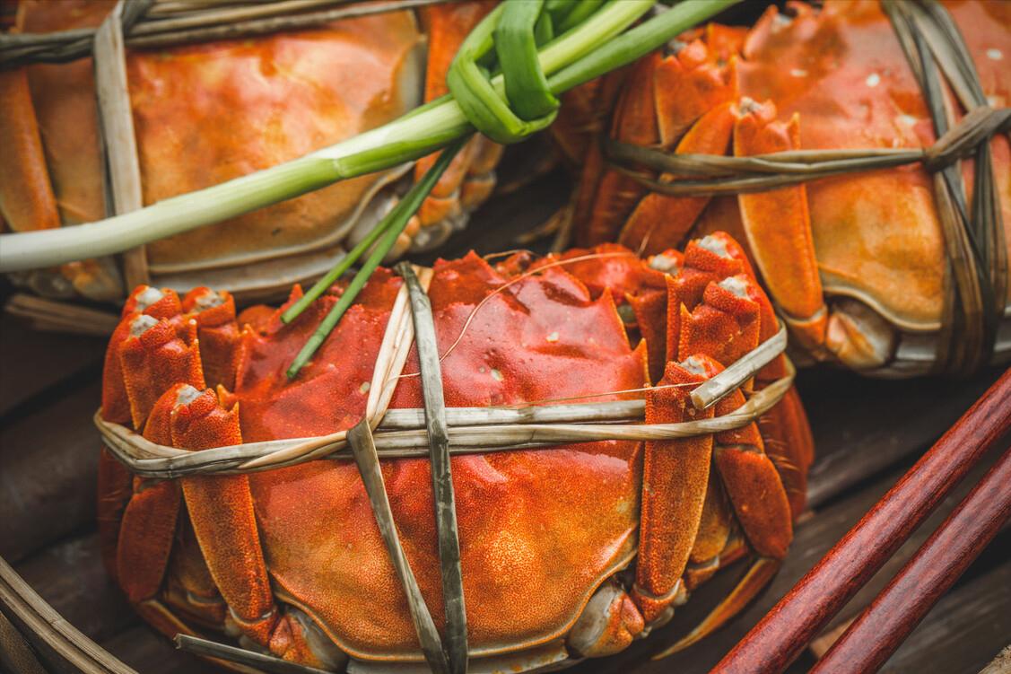 螃蟹选择公蟹还是母蟹,买螃蟹公蟹好还是母蟹好