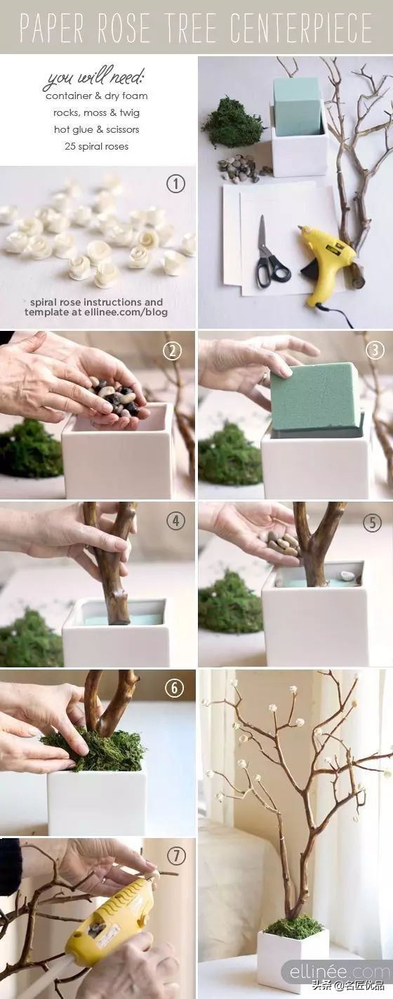 枯木再逢春老树发新芽,枯木再次逢春