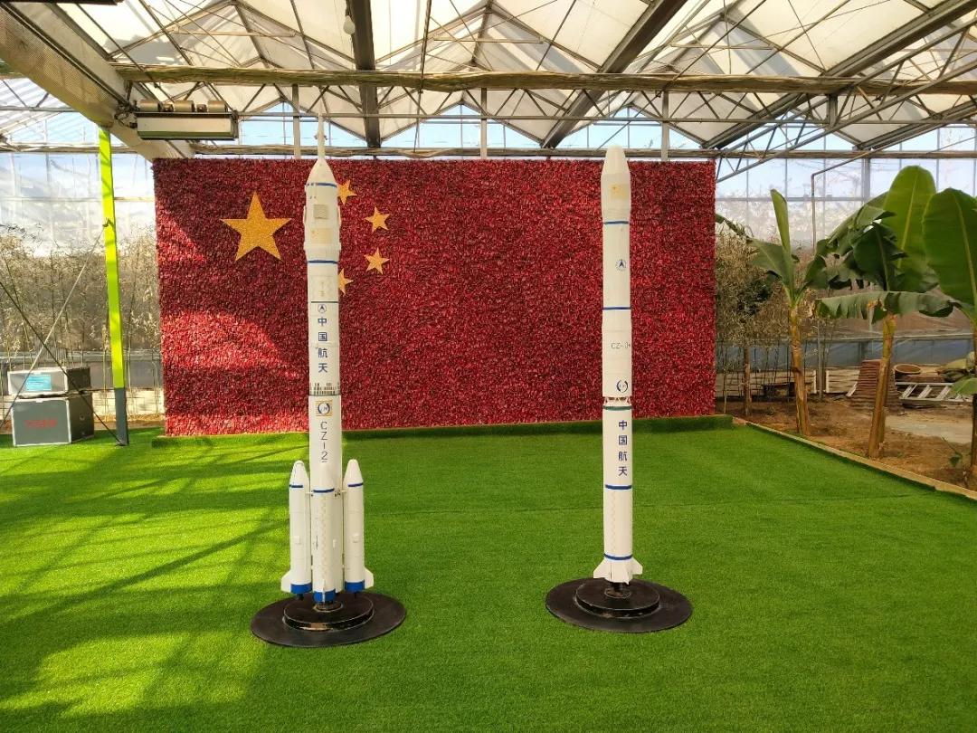 7月旅顺游玩,7月旅顺游玩去处