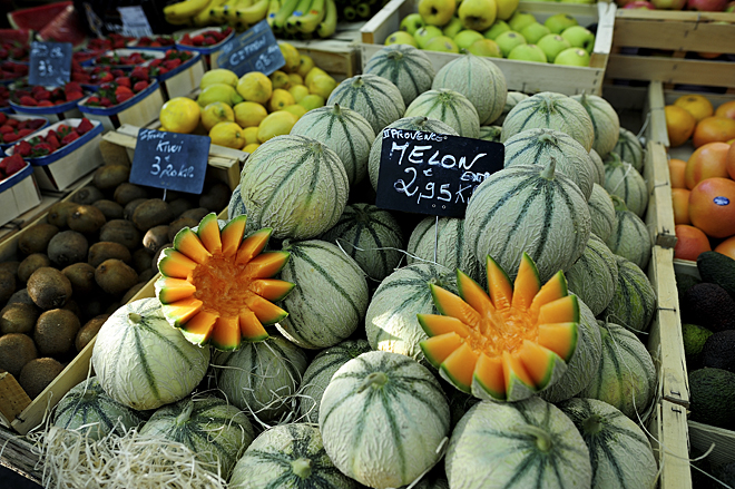 水果常识,水果常识教程