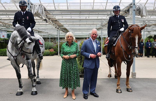 梅根哈里与英女王,英国王室哈里梅根的最新消息