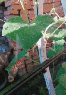 闺蜜生日送蛋糕还是送礼物呢,闺蜜过生日给他送什么零食好呢