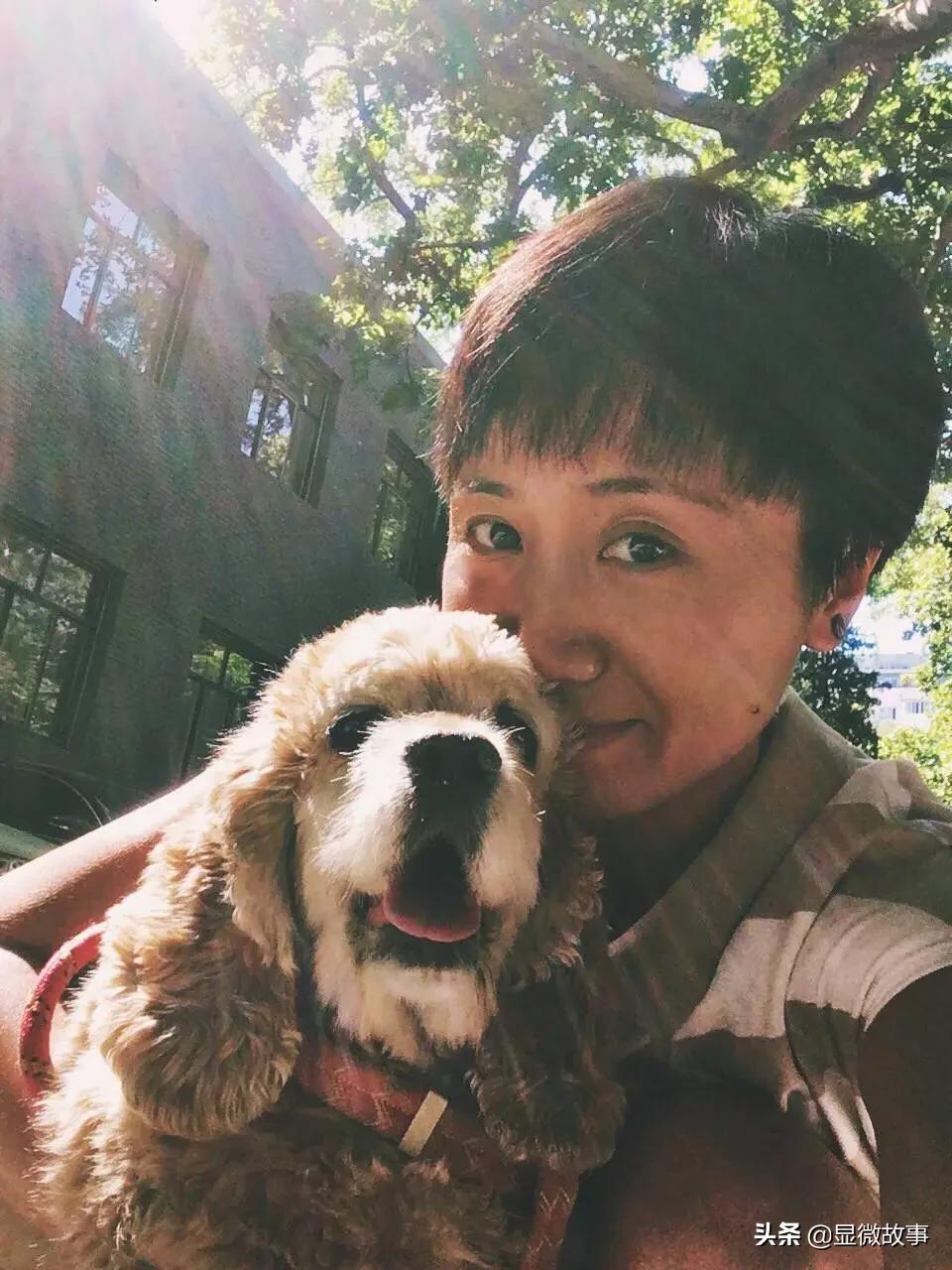 揭秘宠物殡葬：我设计了6487个骨灰盒，只为了帮它体面离开