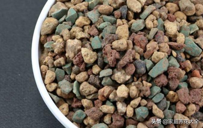 什么垃圾养花最好用又好看,垃圾桶种什么花最好