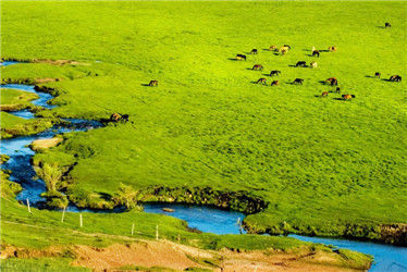 坝上三大景点,坝上草原是丰宁还是围场的