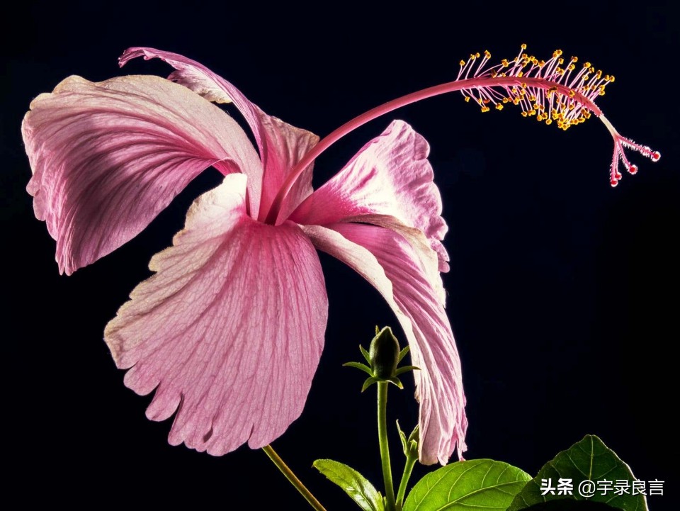 个性签名有深意的句子,个性签名简洁有深度的句子