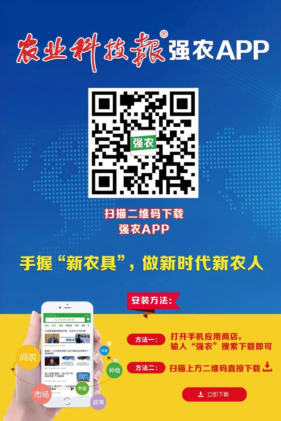 龙头大单品裕丰303的制胜之路,从优秀到卓越的路径图