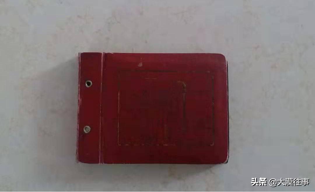 亲情在我心中作文,亲情在我的心中