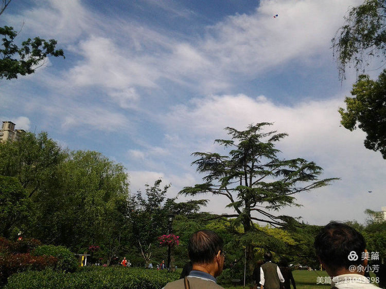 上海中山公园介绍,上海中山公园