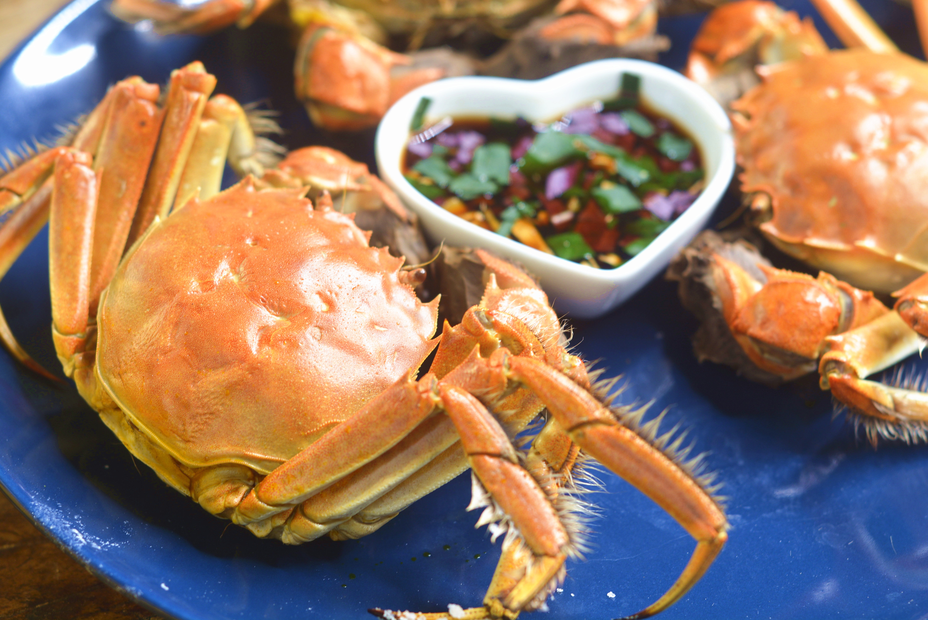 秋季螃蟹怎么做才好吃,秋季螃蟹美食推荐