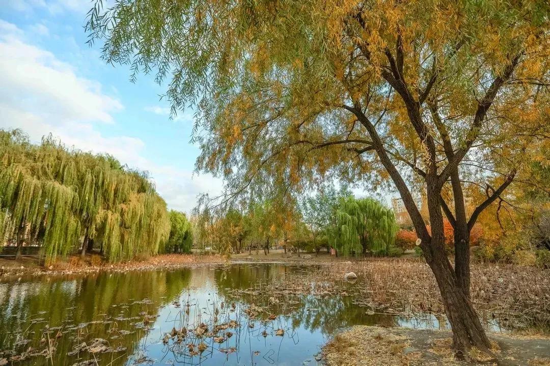 沈阳航空航天大学在辽宁省的地位,辽宁省沈阳航空航天大学在哪个区