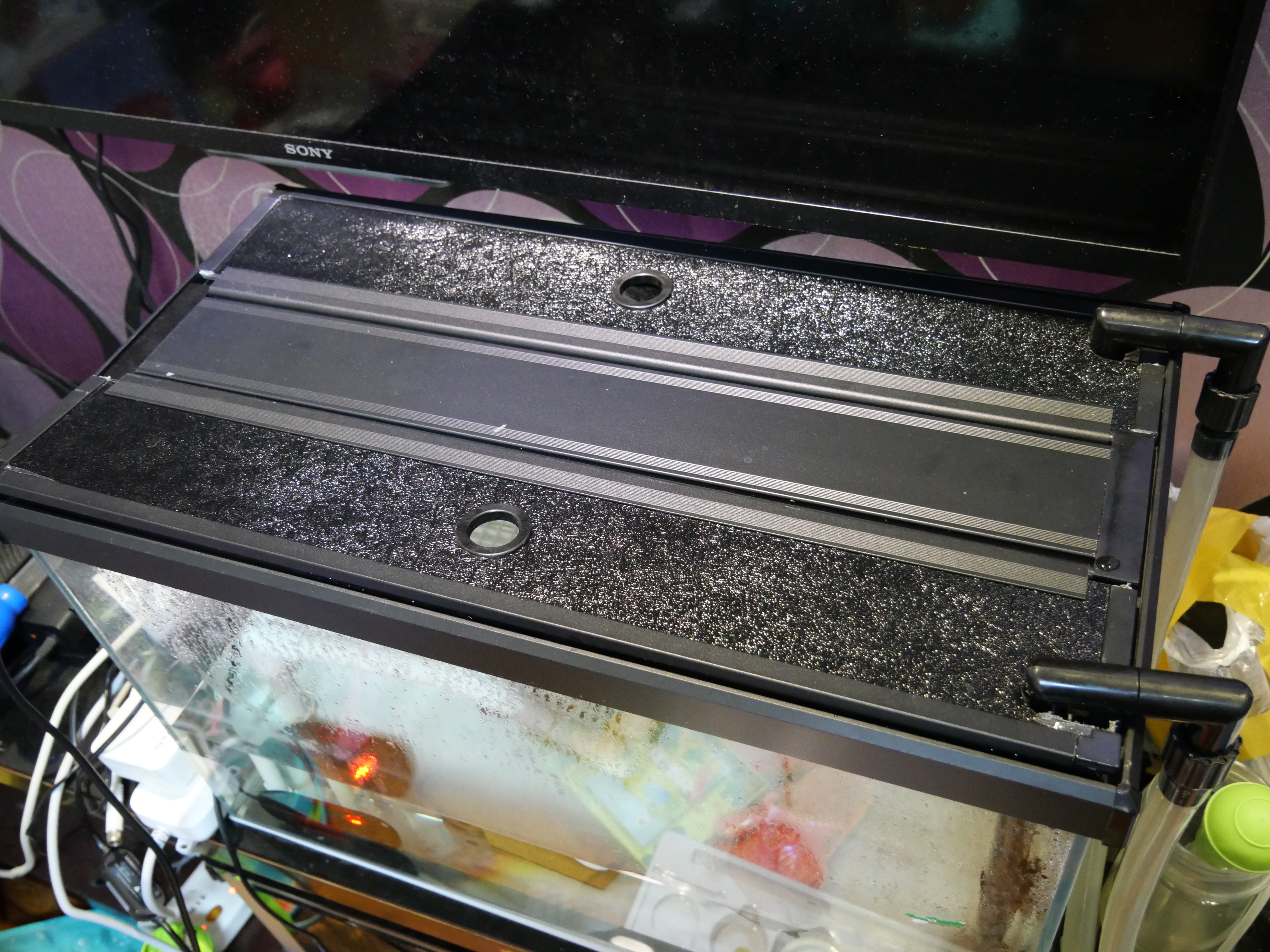 龟蛋孵化出壳怎么养,家养乌龟龟蛋用沙子怎么孵化