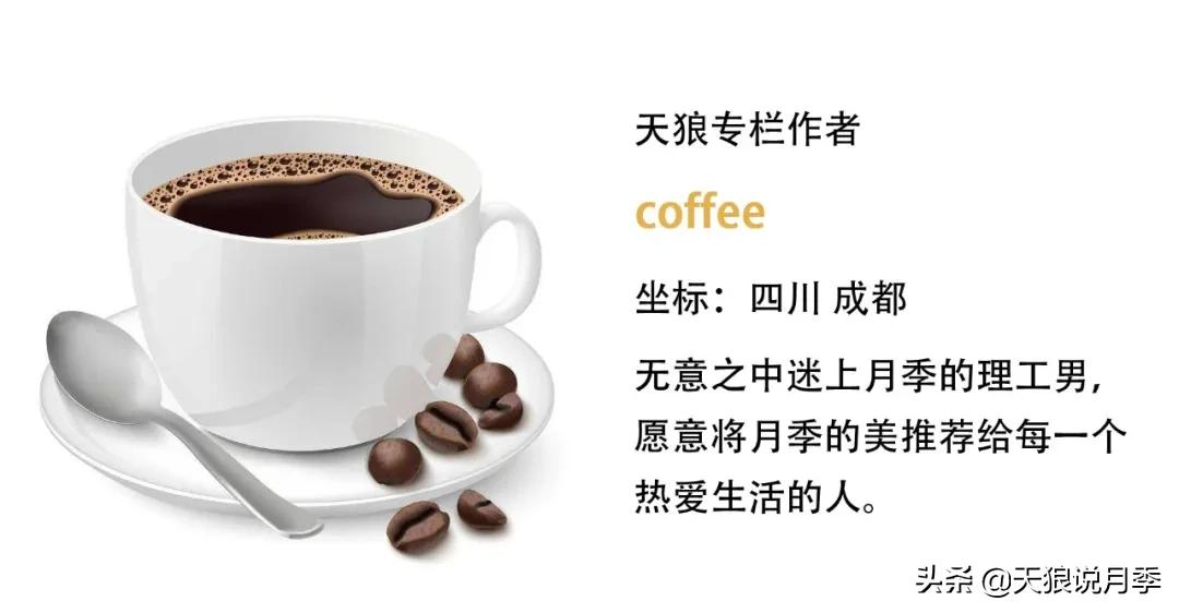 最接近月季花香的香水,以香水名字命名的月季有哪些