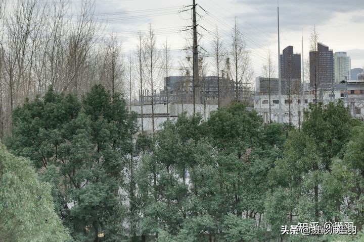 相机长焦拍摄和手机长焦拍摄,相机拍摄的构图范围和出片不一样