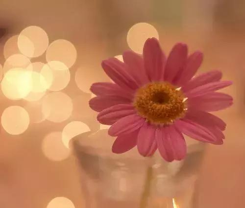 什么样的心灵鸡汤最能触动人心,触动人心的心灵鸡汤10字