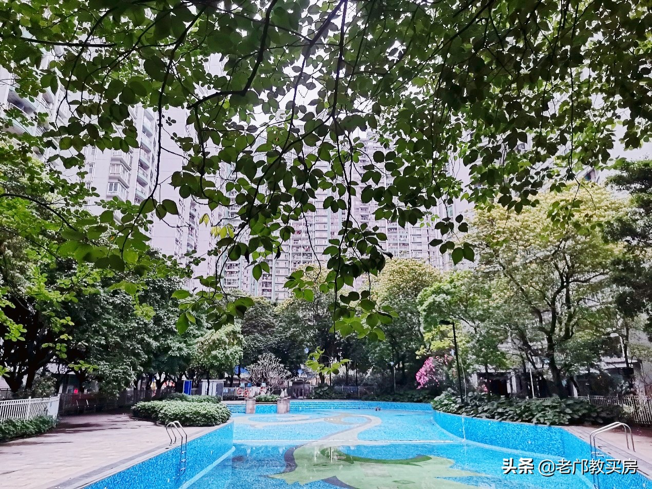 海珠区双省一级学位房,海珠省一级学位小区