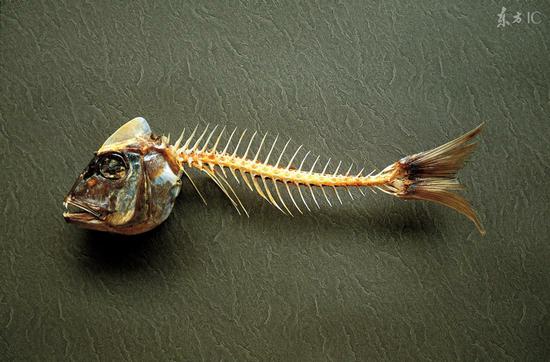 古人卡了鱼刺怎么办？