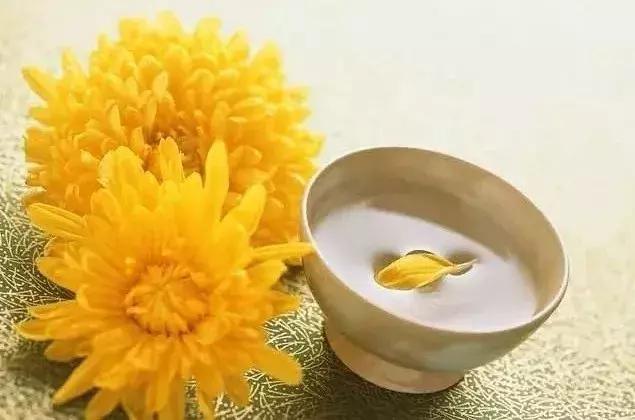 九月九重阳节诗词,九月九重阳节儿歌