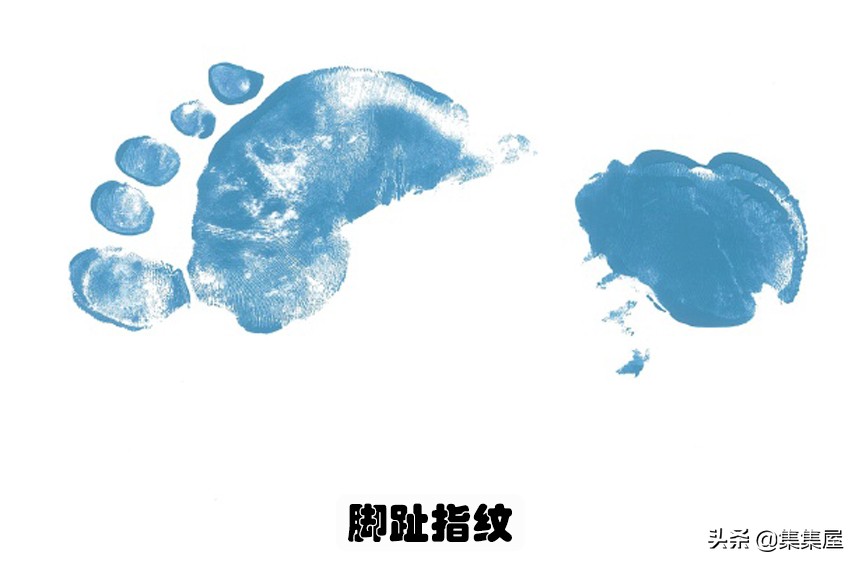 除了指纹还有什么是独一无二的,人类有独一无二的指纹吗