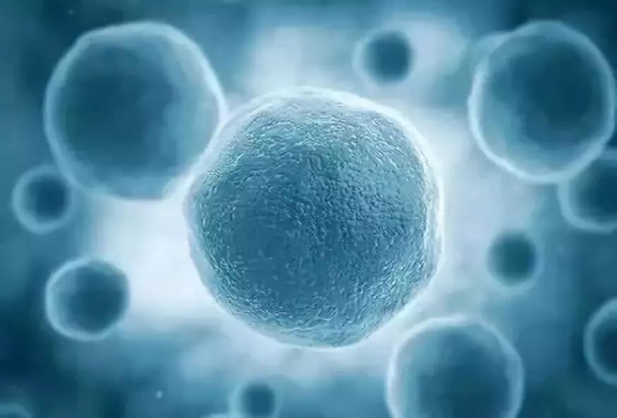 城野医生377精华反黑,城野医生精华合集测评