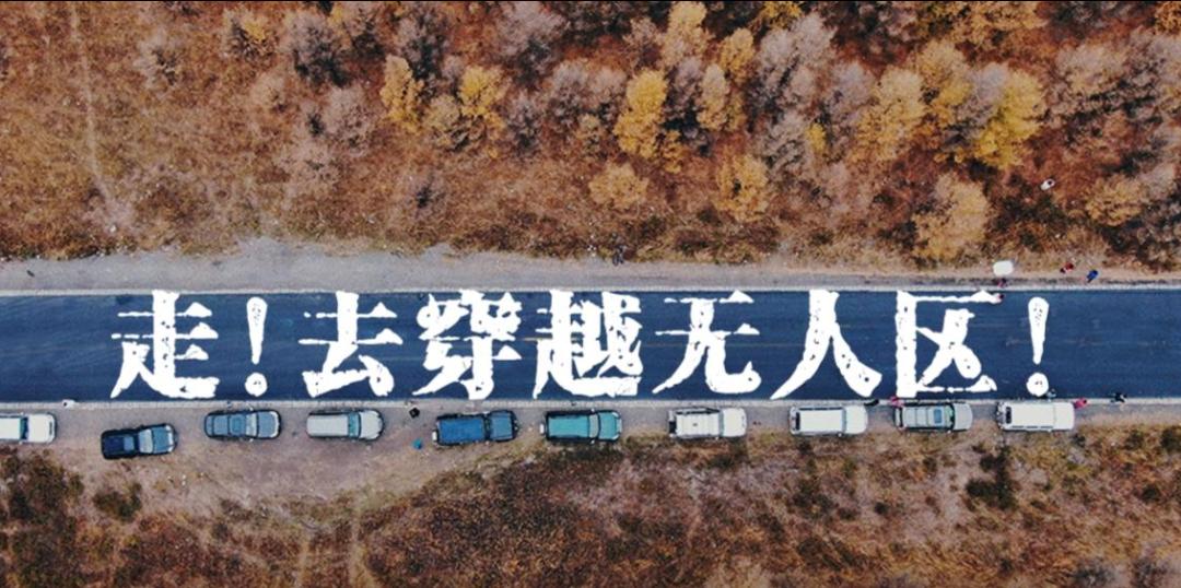 坝上秋色之金色草原,坝上金色草原风景