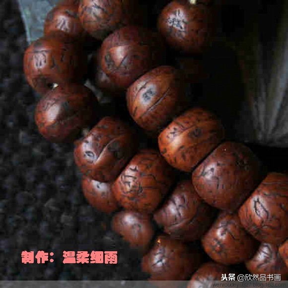 印度菩提子的种类,海南菩提子的种类