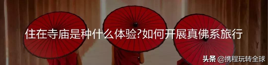 冲绳2月看樱花,冲绳哪里看樱花