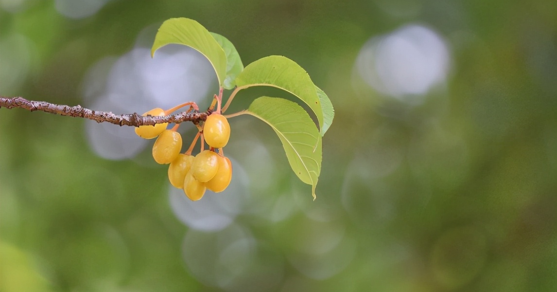 故事：追男神半月毫无进展，她正想放弃时，男神却要带她见家长了