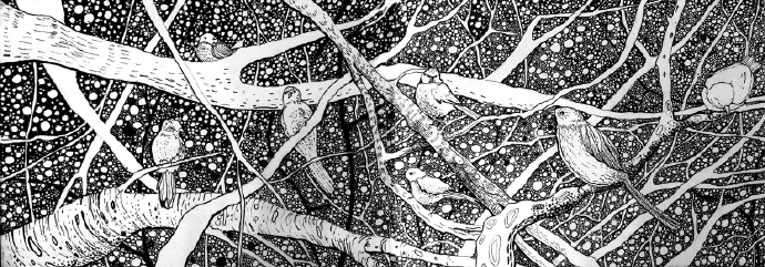 插画手绘房子黑白,手绘黑白插画作品