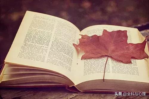 心灵鸡汤正能量工作短句,心灵鸡汤人生感悟正能量短句合集