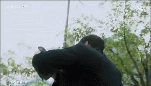 翻拍比原版好的电视剧,内在美翻拍哪部电影