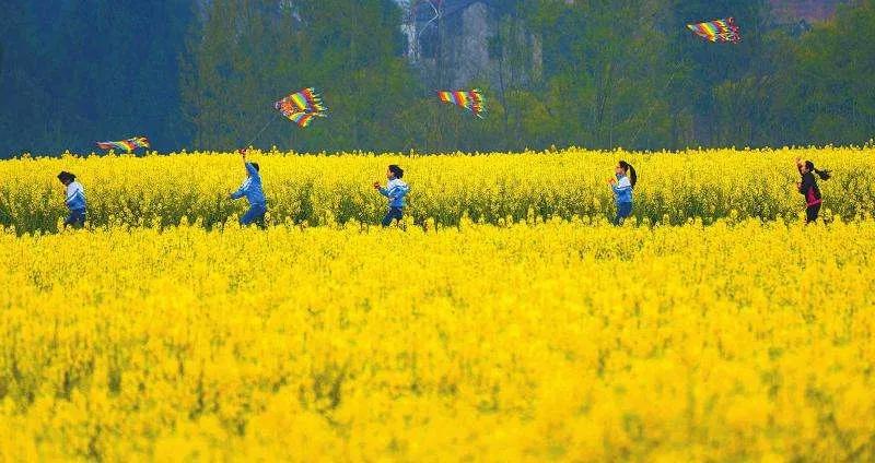 新华维港城五月最新进展,新华维港城美好生活季