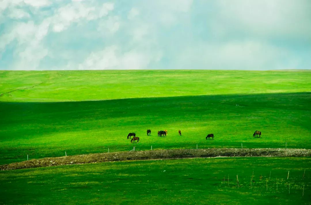 呼伦贝尔感受大自然的美好,呼伦贝尔终生难忘的草原