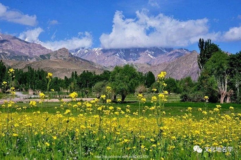 绐佸帴璇皯鏃忎负浣曞皻榛戣繕灏氱櫧,鏂扮枂鍥捐吘宕囨嫓