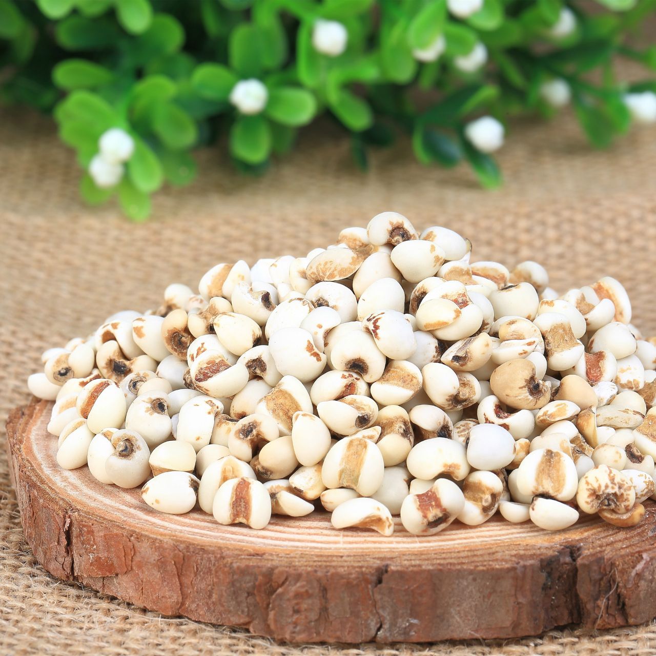 薏米的功效原来这么强,薏米的功效与作用美白