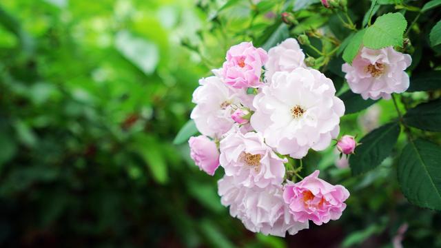 中国最低调小城市,中国最低调小镇