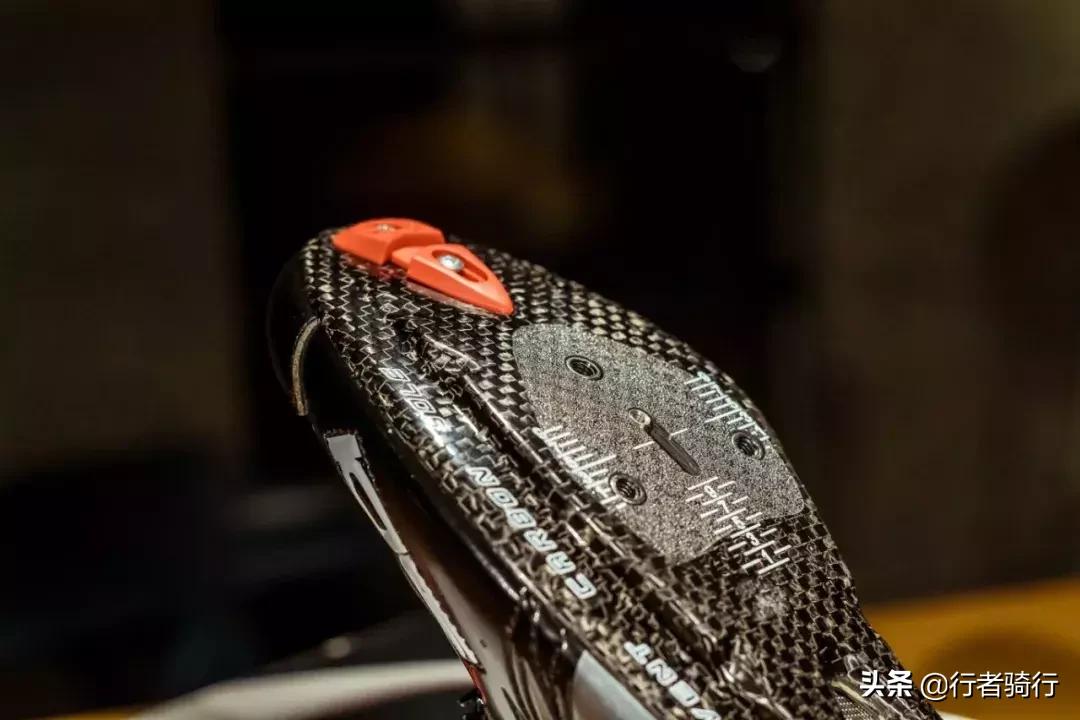 不比赛要减脂吗,不比赛不参团不跑马