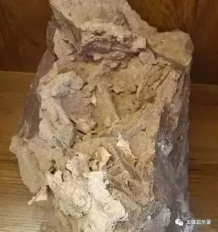 犯太岁中的太岁到底是啥,太岁到底是什么怎么就犯太岁了呢