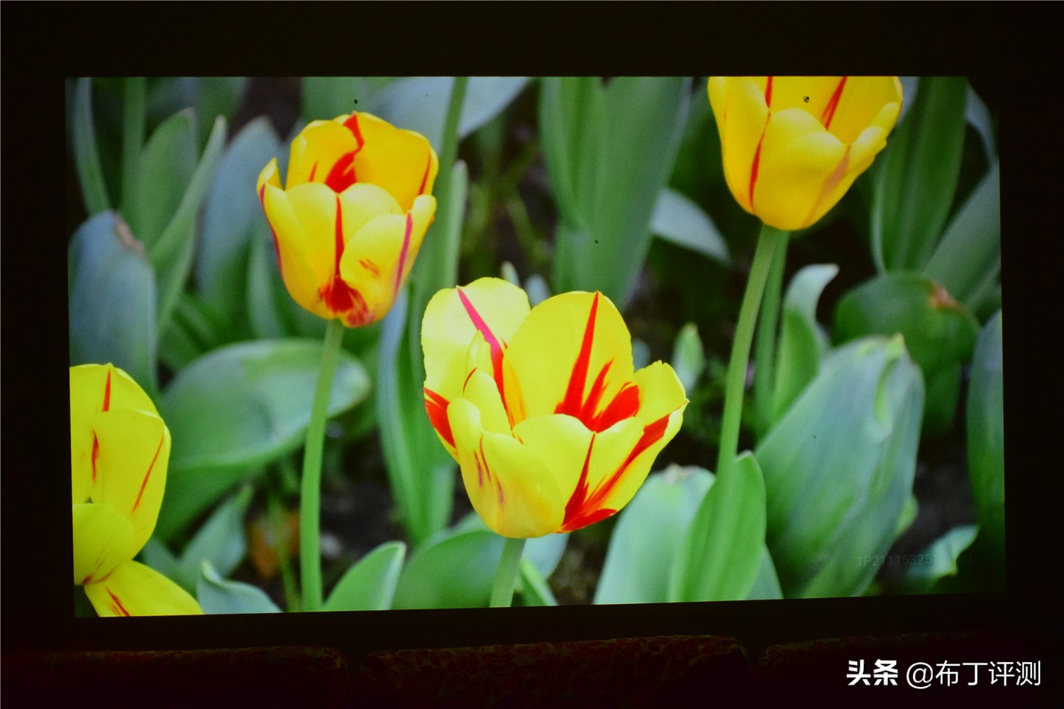 小米米家投影仪2pro能录像吗,小米米家投影仪特点