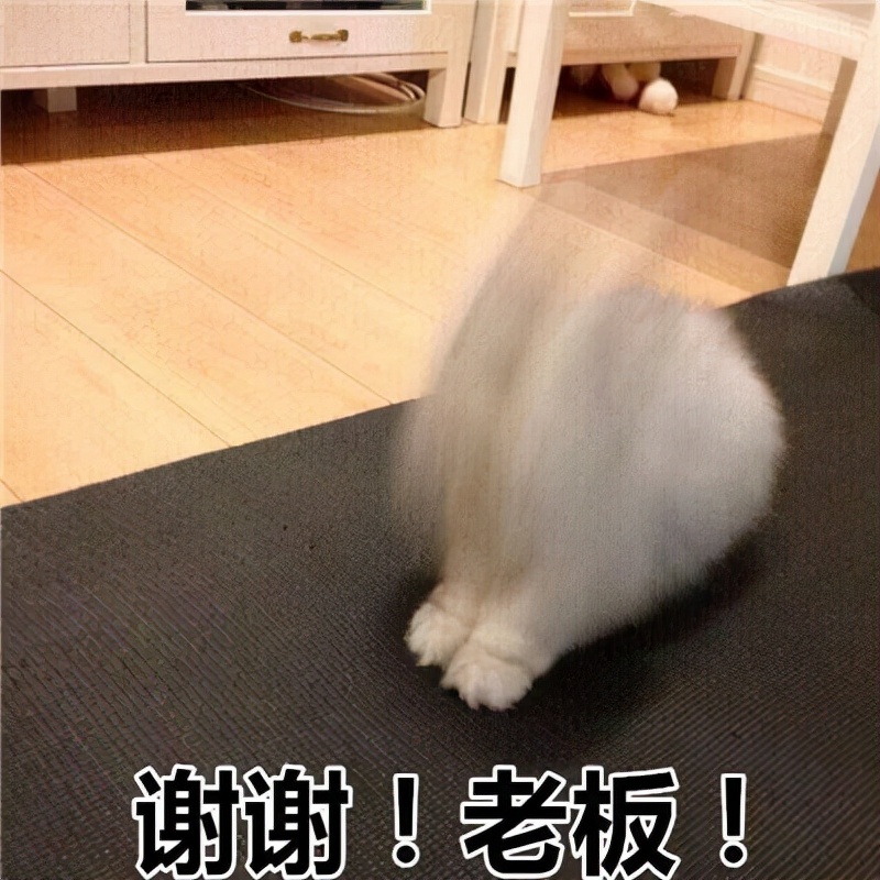 欢迎新朋友入群表情动图表情包,表情包图片大全整套